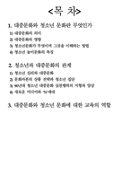 대중문화와 청소년문화의 특성과 교육의 역할-2