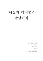 아동의 지적능력발달과정-1