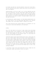 아동의 지적능력발달과정-5