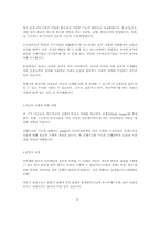 아동의 지적능력발달과정-8
