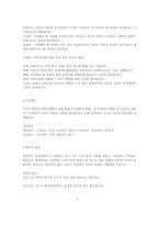 아동의 지적능력발달과정-13