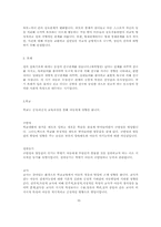 아동의 지적능력발달과정-17