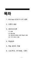 [교수학습론] 정보처리이론(현대인지이론)-11