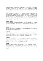 반도체 공학 - 반도체 제조 공정 단계-11