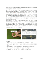 사회문제 - 4대강 사업과 생태계 파괴에 관한 논쟁-3