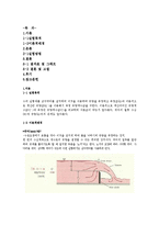유체역학 실험 - 위어 실험-1
