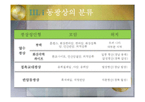 지구환경 과학 - 우리나라의 동광상-6