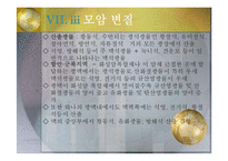 지구환경 과학 - 우리나라의 동광상-15