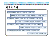항공사 전략적 제휴와저가 항공사-9