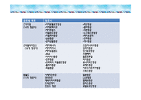 항공사 전략적 제휴와저가 항공사-18