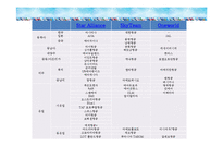 항공사 전략적 제휴와저가 항공사-19