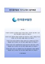 [한국중부발전자기소개서] 한국중부발전 인턴사원 합격자소서와 면접족보-1
