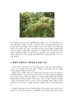 원예작물학24C)봄에 집 베란다(또는 창가)에 장식 할 수 있는 봄꽃들을 소개하고 각각의 학명, 재배특성과 재배방법에 대하여 조사하여 기술하시오0k-8