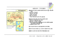 다국적기업의 국제생산입지 선정 성공 및 실패사례-20