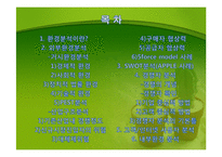 외부환경과 내부환경 분석-2