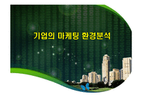 기업의 마케팅 환경분석-1