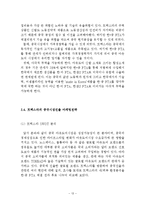 [트렉스타 중국진출 마케팅전략 보고서] 트렉스타 기업분석과 SWOT분석및 트렉스타 중국진출 마케팅전략 분석과 나의견해정리 레포트-15