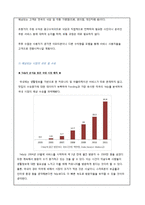 [어플리케이션 개발 사업계획서] 맛집정보제공 SNS채널 어플 개발업체 창업 사업계획서-10
