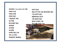 부패의 유형,원인 및 사례분석[(腐敗, Corruption)] -2