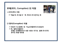 부패의 유형,원인 및 사례분석[(腐敗, Corruption)] -3