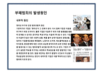 부패의 유형,원인 및 사례분석[(腐敗, Corruption)] -20