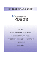 (KDB생명자기소개서 + 면접족보) KDB생명(신입공채)자소서 [KDB생명보험합격자기소개서,KDB생명보험자소서항목]-1