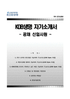 [KDB생명자기소개서] KDB생명 합격자소서와 면접기출문제,KDB생명보험자기소개서,KDB생명보험자소서-1
