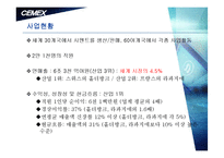 [국제경영] 세멕스(CEMEX) 기업분석-3