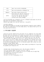 [국제경영] 타타그룹 경영 전략과 향후 비전-3