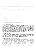 마케팅 전략 - 인터넷 마케팅과 인터넷 마케팅 사례-6