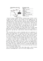 전략적 제휴 사례 - 카카오톡과 네이버라인의 전략적제휴 사례 비교-9