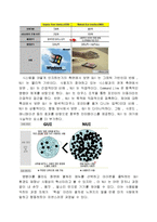컴퓨터와 정보화 사회 - NUI(Natural User Interface) 란 무엇인가-2