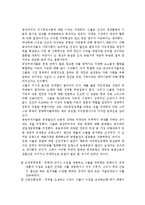 중상주의의 시대적배경과 특징-3