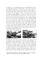한국 근현대사를 통해보는 나의 가족사 - 우리 할머니의 잠재워지지 않는 어릴 적 아픈 기억-4