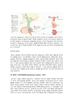 성의 생물학 - 성호르몬(성호르몬 관련 내분비계, 사람의 성호르몬)-5