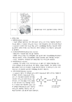 생명과학 - 단백질과 탄수화물의 검출-2