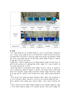 생명과학 - 단백질과 탄수화물의 검출-7