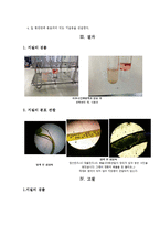 생물학 - 지질검정 실험(생체 주요 구성 성분인 지질의 특성과 기능을 이해하고, 지질과 반응하여 발색하는 수단Ⅲ 용액을 이용하여 지질의 분포 측정)-5