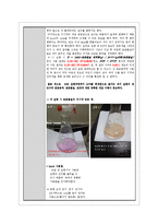 식품분석 실험 - 산, 염기 표준 용액의 조제 및 표정 법-5
