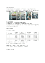 화공기초실험 보고서 - 분몰랄 부피-4