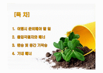 해외여행시 출입국 절차와 기내 매너-2