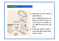테이블 매너의 이해-6