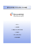 [한국소비자원자기소개서] 한국소비자원 청년인턴 합격자소서-1