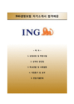 [ING생명자기소개서] ING생명자소서와 면접예상문제,ING생명보험자기소개서,ING생명보험자소서항목-1