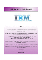 [한국IBM자기소개서] 한국IBM 인턴 합격자소서와 면접기출문제-1
