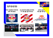 “에너지음료”개척자 Red bull 세계시장 정복 마케팅과 국내사례분석-18