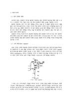 운동기구 사용 시 기구와 인체에 작용하는 힘 구하기-2