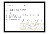 연령별 치과 치료와 치과용 재료-4