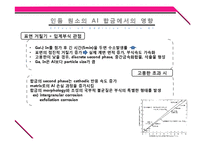 알루미늄 합금의 부식 실험-17