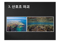 지구 온난화와 문화 유산-7